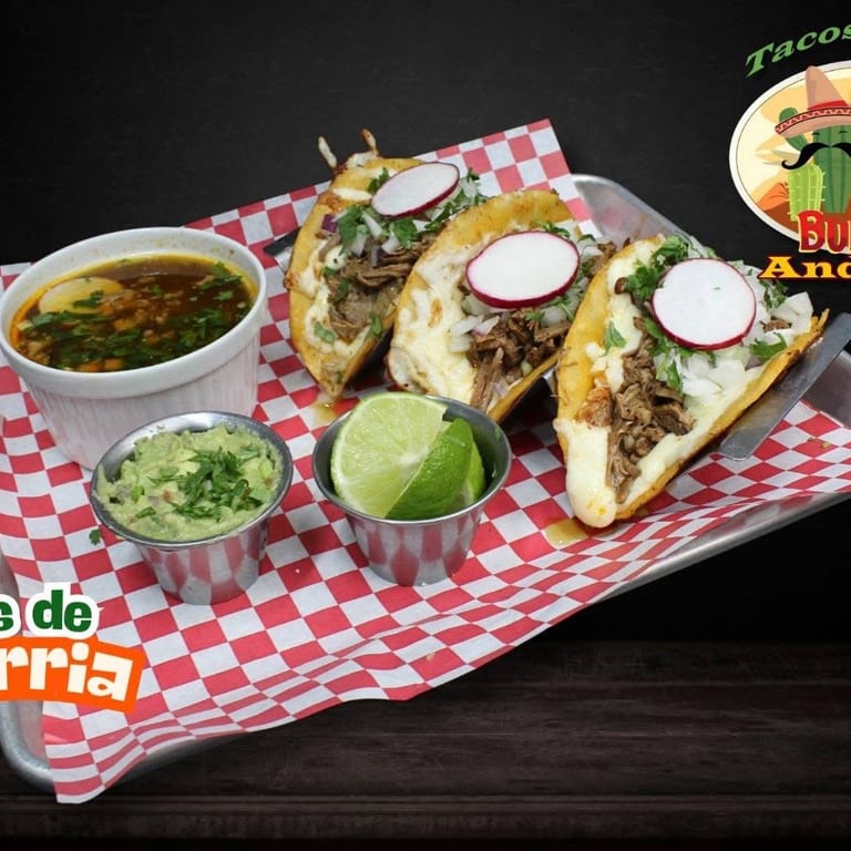 Delicious Quesabirria Tacos